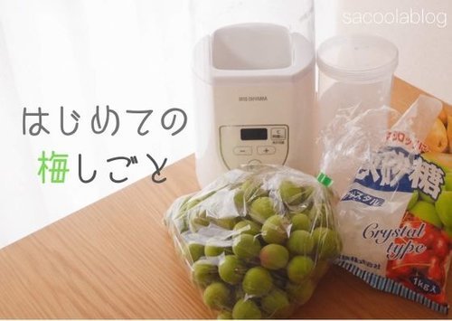 f:id:sacoolablog:20190612221727j:plain f:id:sacoolablog:20190612221727j:plain