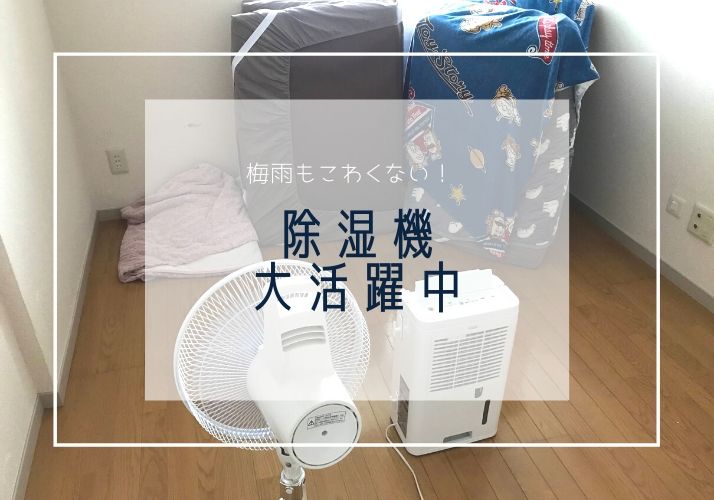 洗濯物も布団も室内干しでok 梅雨時期は除湿機が大活躍中 Sakurasaku